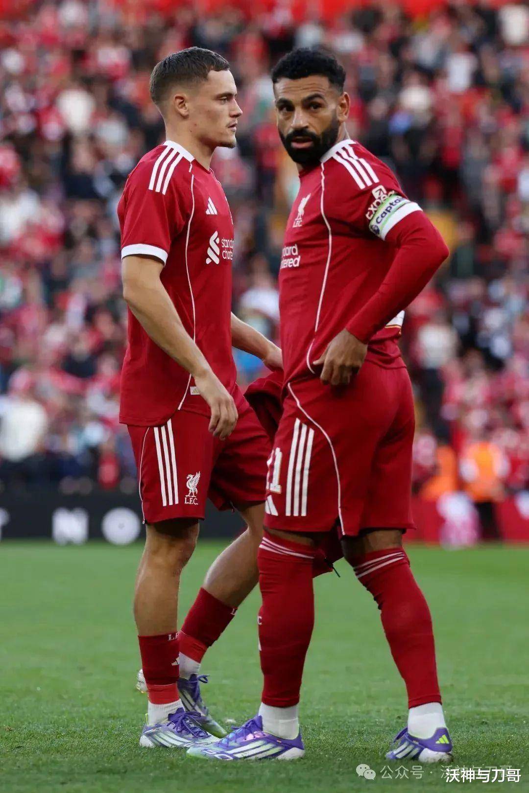 社区盾转会期走向成谜,葡萄牙体育主帅复盘,压力陡增,训练强度明显提升的简单介绍 社区盾转会期走向成谜,葡萄牙体育主帅复盘,压力陡增,训练强度明显提升的简单介绍